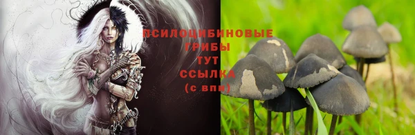 Альфа ПВП Алзамай