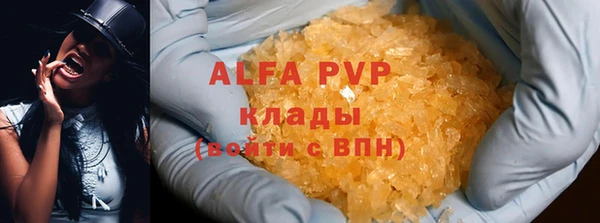 СК Ельня