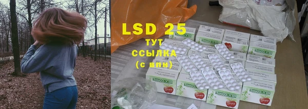 ПСИЛОЦИБИНОВЫЕ ГРИБЫ Абаза