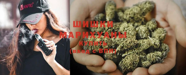 Альфа ПВП Алзамай