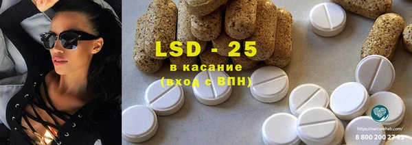 ПСИЛОЦИБИНОВЫЕ ГРИБЫ Абаза