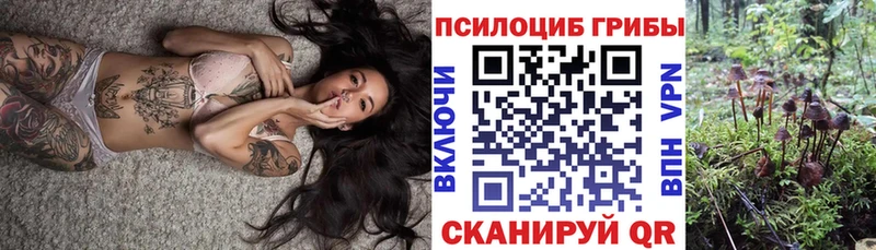 mega ссылка  Бавлы  Галлюциногенные грибы Magic Shrooms 