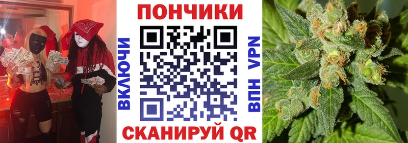 Бошки Шишки THC 21%  Бавлы 